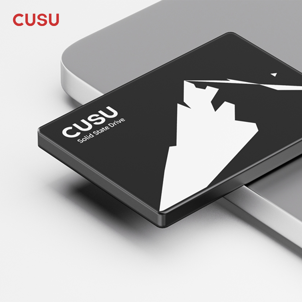 CUSU SSD 1 TB 512 GB 256 GB 12 – Ssd 500Gb Bewertung und Preis